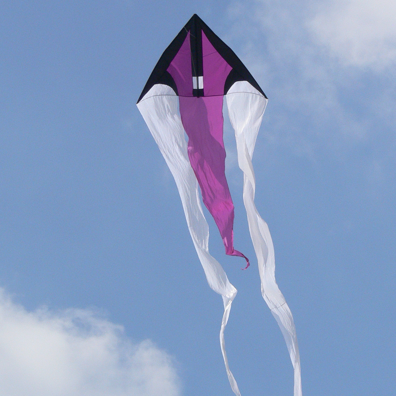CiM Drachen F-Tail Beam purple