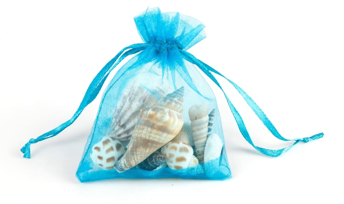 130306_2 Eduplay Muscheln im Organzabeutel
